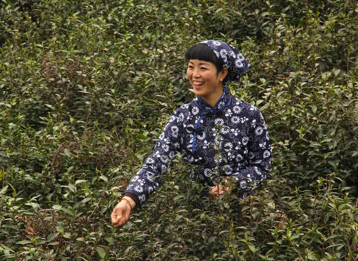 影视